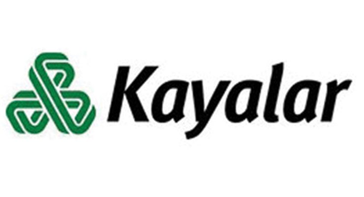 Kayalar Kimya